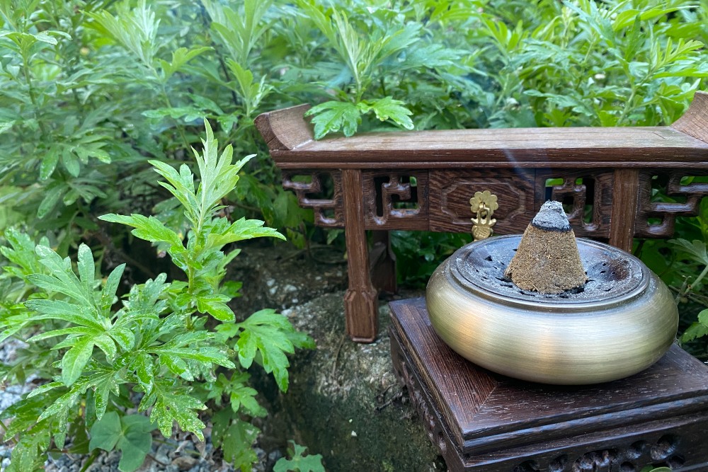 Wormwood Mosquito Coil Workshop